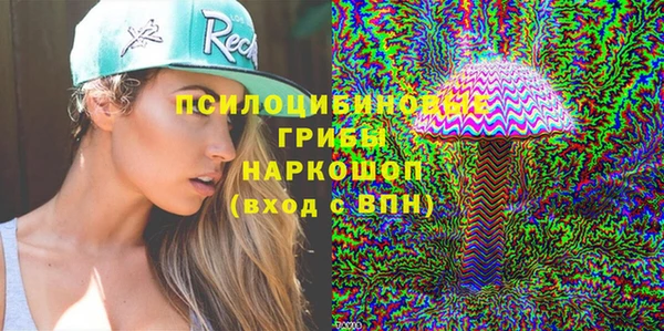 амф Бронницы