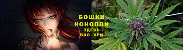 сатива Покровск