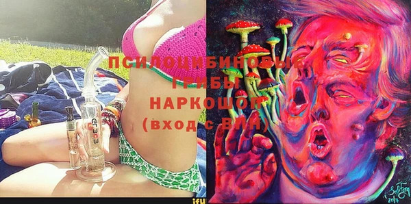 амф Бронницы
