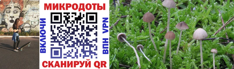 Галлюциногенные грибы мицелий  Межгорье 