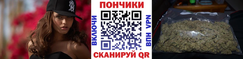 Каннабис сатива блэк спрут ссылка Межгорье